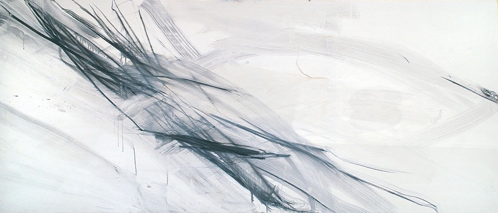 Asleep, 2011   Oil and graphite on  canvas
90 x 210  cm