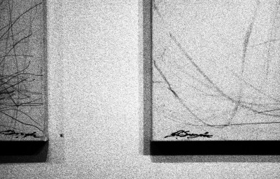 © Photo by C. Poulopoulou